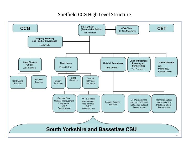 sheffield ccg high level structure