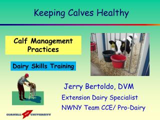 Keeping Calves Healthy