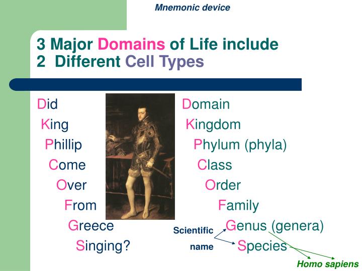 3 major domains of life include 2 different cell types