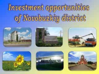 Investment opportunities of Novobuzkiy district