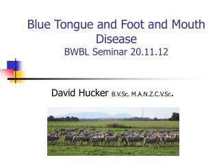 Blue Tongue and Foot and Mouth Disease BWBL Seminar 20.11.12