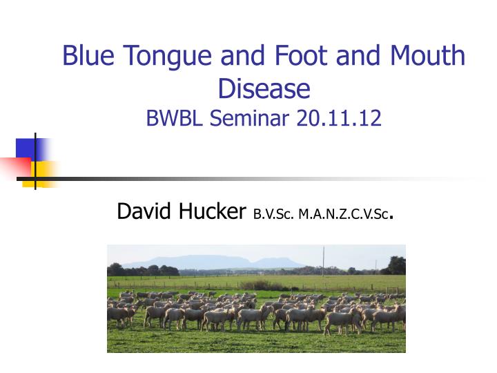 blue tongue and foot and mouth disease bwbl seminar 20 11 12