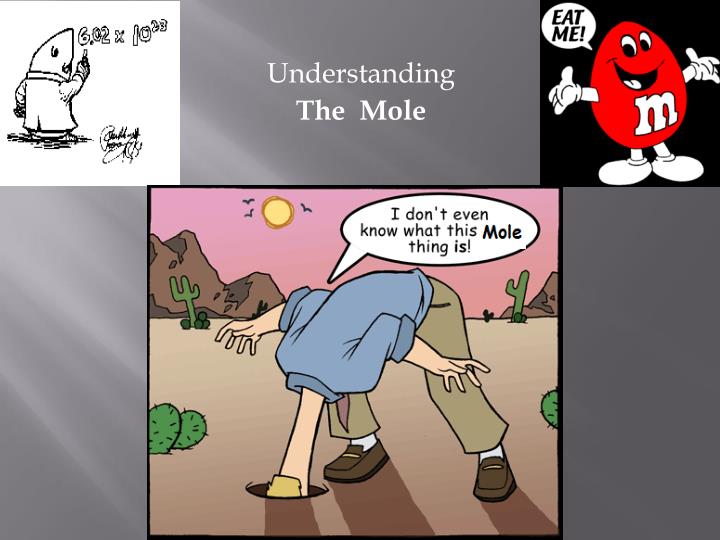 understanding the mole