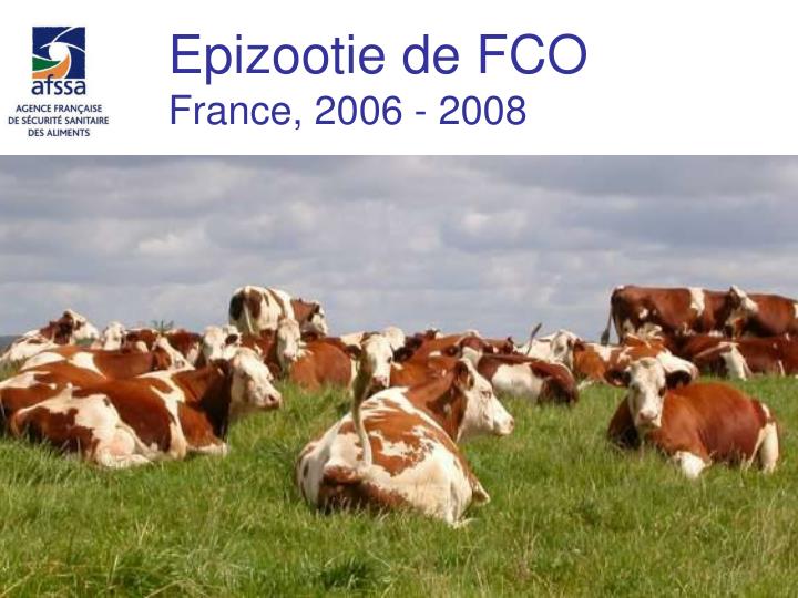 epizootie de fco france 2006 2008