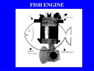 FISH ENGINE