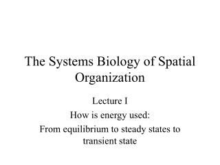 The Systems Biology of Spatial Organization