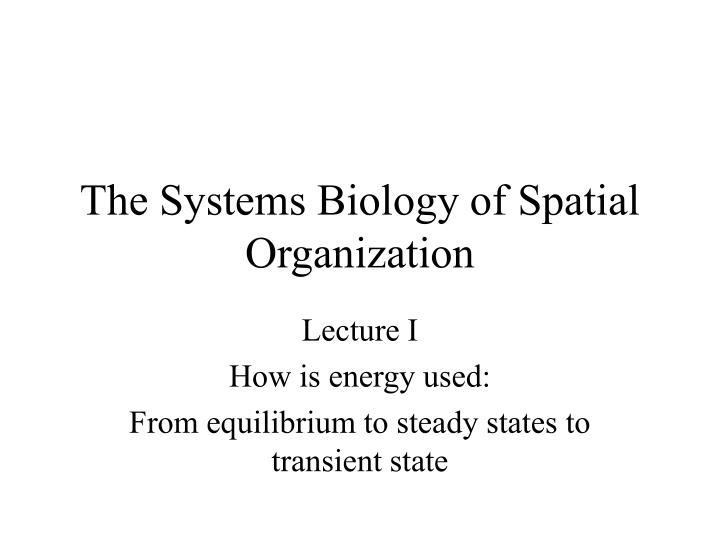 the systems biology of spatial organization