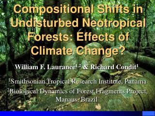 Compositional Shifts in Undisturbed Neotropical Forests: Effects of Climate Change?