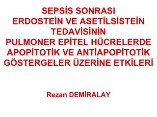 rezan dem ralay