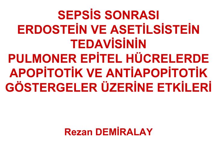 rezan dem ralay