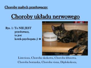 choroby uk adu nerwowego