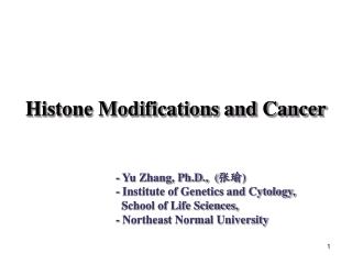 Histone Modifications and Cancer