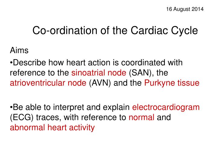co ordination of the cardiac cycle