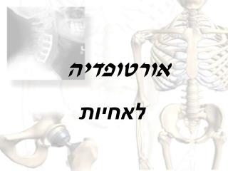 אורטופדיה