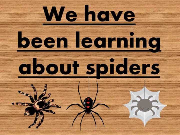 we have been learning about spiders