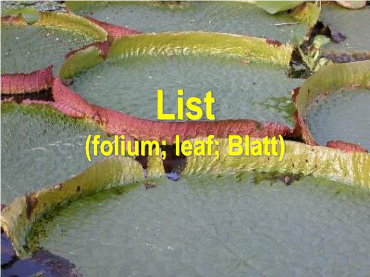 list folium leaf blatt