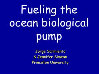 Fueling the ocean biological pump