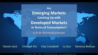 Are Emerging Markets Catching Up with Developed Markets in Terms of Consumption ?