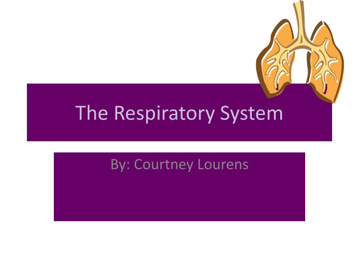 the r espiratory system