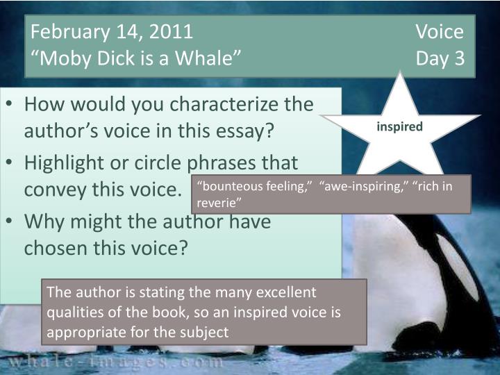 february 14 2011 voice moby dick is a whale day 3