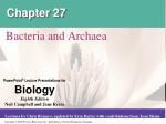 Prokaryotes: Bacteria and Archaea Adaptations for Survival - slide 1