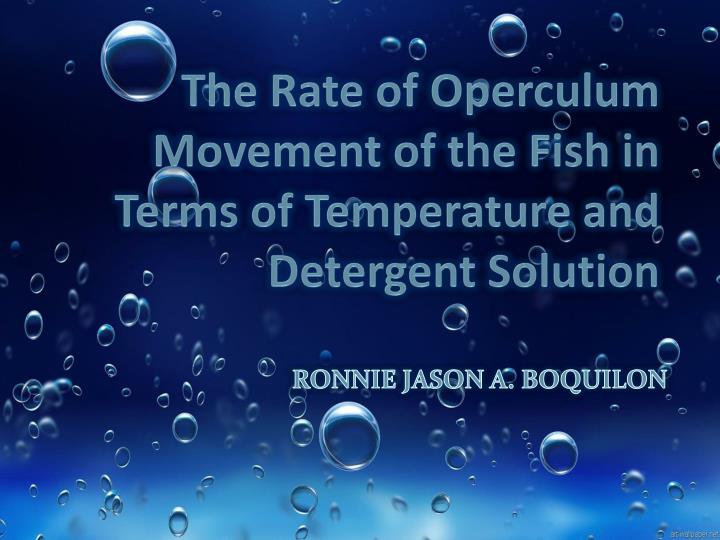 the rate of operculum movement of the fish in terms of temperature and detergent solution