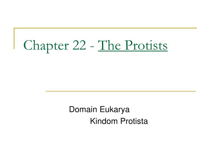 chapter 22 the protists