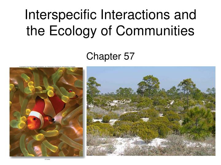 interspecific interactions and the ecology of communities chapter 57