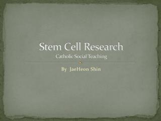 Stem Cell Research Catholic Social Teaching
