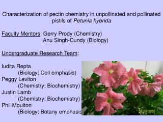 Characterization of pectin chemistry in unpollinated and pollinated pistils of Petunia hybrida