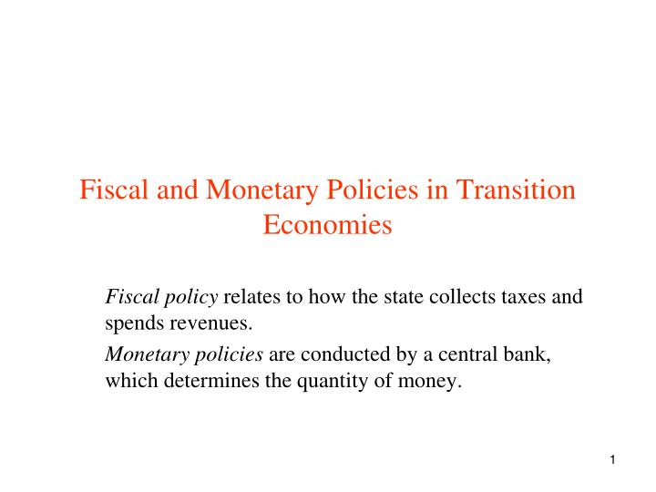 fiscal and monetary policies in transition economies