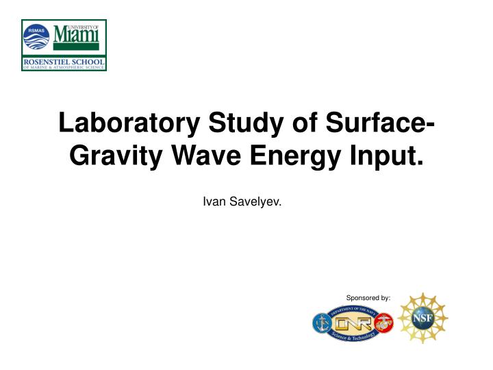 laboratory study of surface gravity wave energy input
