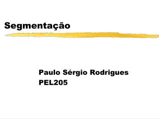 segmenta o