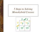 5 Steps to Solving Monohybrid Crosses - slide 1