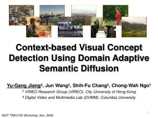Context-based Visual Concept Detection Using Domain Adaptive Semantic Diffusion
