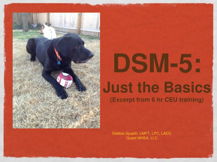 dsm 5 just the basics excer p t from 6 hr ceu training