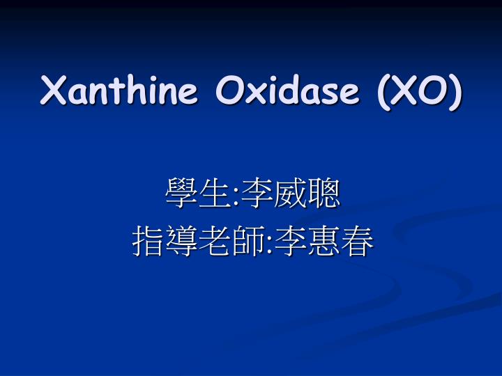 xanthine oxidase xo