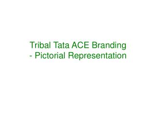Tribal Tata ACE Branding - Pictorial Representation