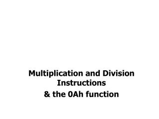 Multiplication and Division Instructions &amp; the 0Ah function