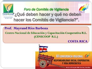 foro de comit s de vigilancia qu deben hacer y qu no deben hacer los comit s de vigilancia