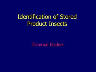 Identification of Stored Product Insects