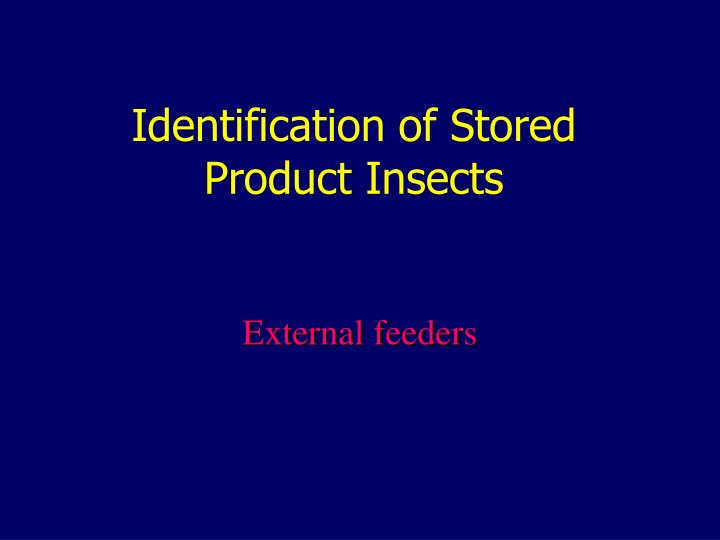 identification of stored product insects