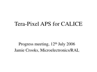 Tera-Pixel APS for CALICE