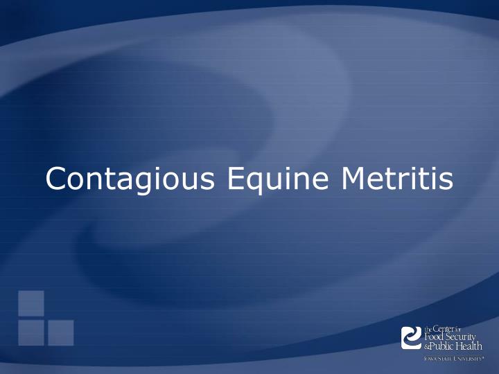 contagious equine metritis
