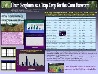 Grain Sorghum as a Trap Crop for the Corn Earworm