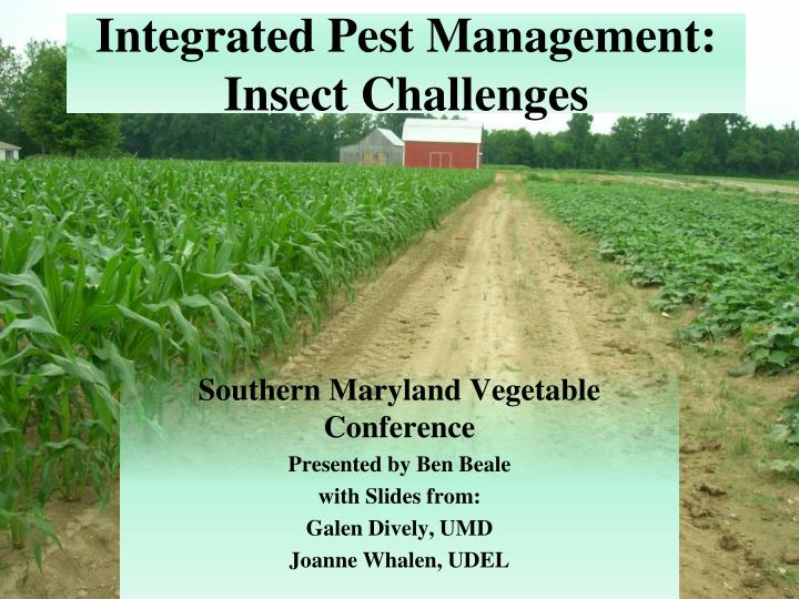 integrated pest management insect challenges