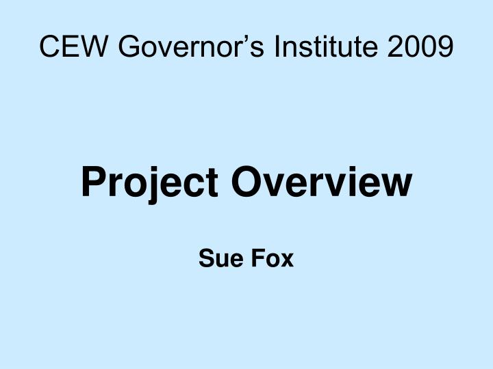 cew governor s institute 2009