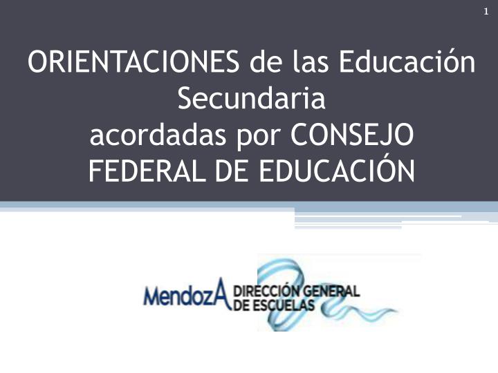 orientaciones de las educaci n secundaria acordadas por consejo federal de educaci n