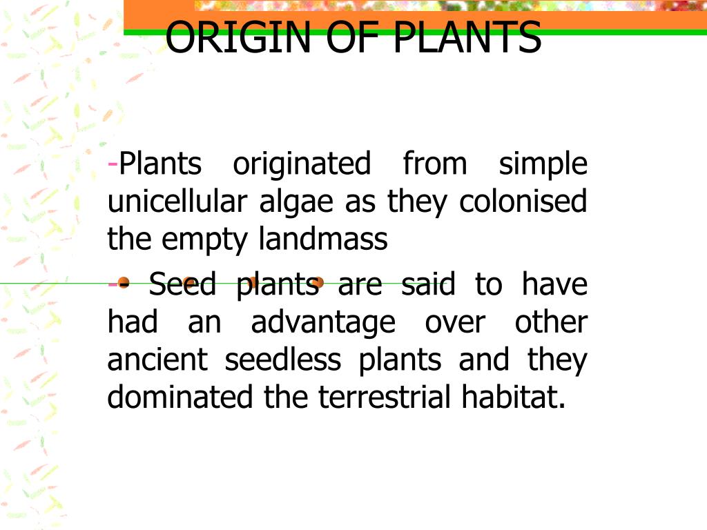 Plant Original PPT - ORIGIN OF PLANTS PowerPoint Presentation, free download - ID:3272292