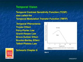 Temporal Vision Temporal Contrast Sensitivity Function (TCSF) also called the